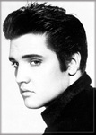 Elvis - BW